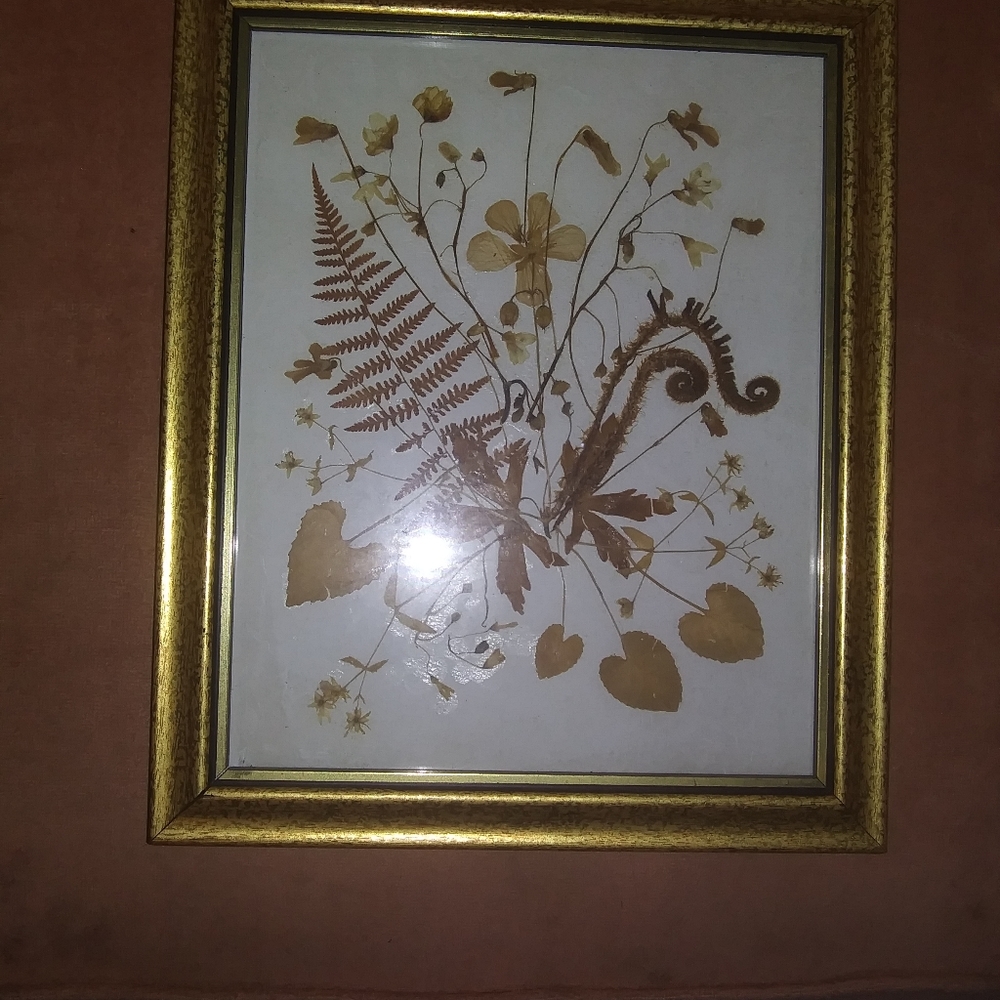 🌛 Vintage dried florals framed in gold - Picture 2 of 2